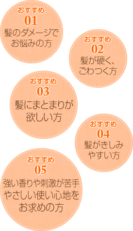 おすすめ01 髪のダメージでお悩みの方 おすすめ02 髪が硬く、ごわつく方 おすすめ03 髪にまとまりが欲しい方おすすめ04 髪がきしみやすい方 おすすめ05 強い香りや刺激が苦手やさしい使い心地をお求めの方