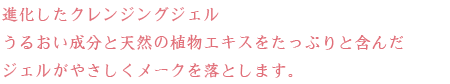 きめ細かく弾力のある泡で、
しっとりうるおいながら、健やかな洗い上がり。お顔全体を明るくする泡力をお試しください。