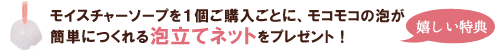 泡立てネットプレゼント