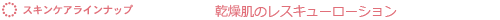 �X�L���P�A���C���i�b�v