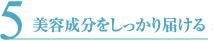 5 ���e��������������͂���