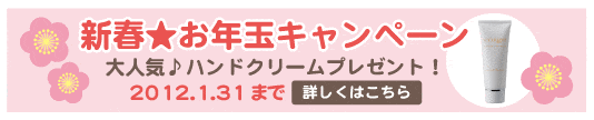 新春★お年玉キャンペーン