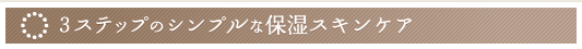 3�X�e�b�v�̃V���v���ȕێ��X�L���P�A