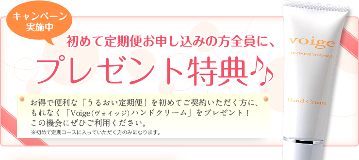 キャンペーン実施中 初めての定期便お申し込みの方全員、プレゼント特典♪♪