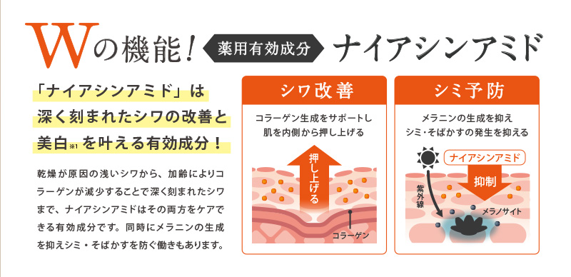 Ｗの機能！有効成分ナイアシンアミド