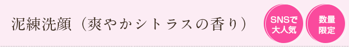 泥練洗顔 爽やかシトラスの香り