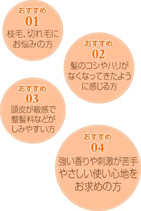 おすすめ01 枝毛、切れ毛にお悩みの方 おすすめ02 髪のコシやハリがなくなってきたように感じる方 おすすめ03 頭皮が敏感で整髪料などがしみやすい方 おすすめ04 強い香りや刺激が苦手やさしい使い心地をお求めの方