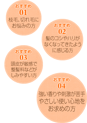 おすすめ01 枝毛、切れ毛にお悩みの方 おすすめ02 髪のコシやハリがなくなってきたように感じる方 おすすめ03 頭皮が敏感で整髪料などがしみやすい方 おすすめ04 強い香りや刺激が苦手やさしい使い心地をお求めの方