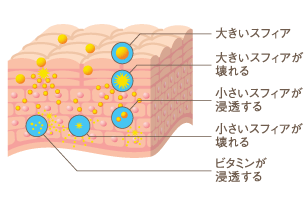 大きいスフィア 大きいスフィアが壊れる 小さいスフィアが浸透する 小さいスフィアが壊れる ビタミンが浸透する