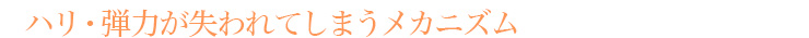 ハリ・弾力が失われてしまうメカニズム