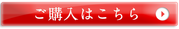 ご購入はこちら