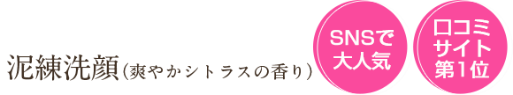 泥練洗顔 爽やかシトラスの香り